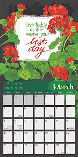 Seize The Day And Make It Yours - Robin Pickens 2018 Wall Calendar (CA0155)