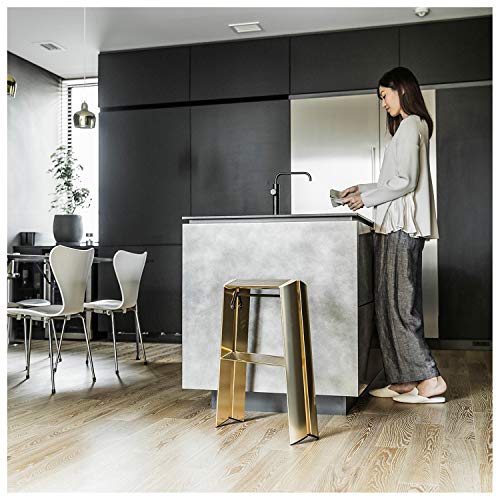 Hasegawa Lucano Step Stool Premium Edition 2 Step Gold