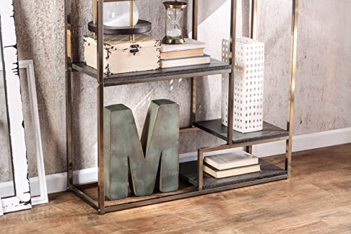 24/7 Shop at Home 247SHOPATHOME IDF-AC6264CPN Palmyra Bookcase, Champagne