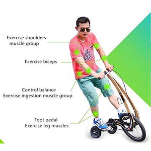 Folding Exercise Bike, Mini Stand Riding Bike Without seat, Lose Weight Bike, Portable 20inch Sports Bike, Fitness Tricycle,Lose Weight Bicycle Burn Fat Pedicab