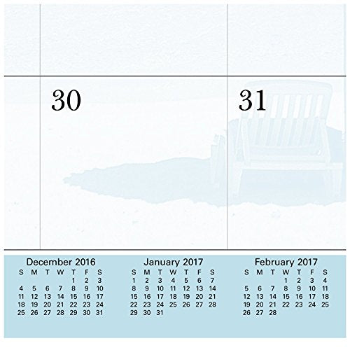 AT-A-GLANCE Desk Pad Calendar 2017, Monthly, 21-5/8 x 16-7/8", Images of the Sea Panoramic (DMD141-32)