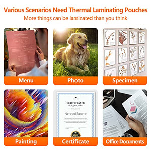 SJPACK Thermal Laminating Pouches, 9 x 11.5 Inches, 3 mil Thick, 4000 Pack - Clear
