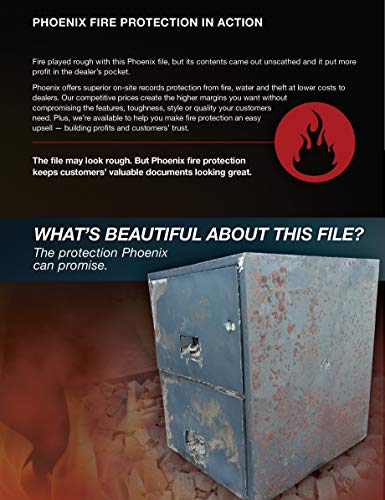 Phoenix Lateral 31 inch 2-Drawer Fireproof File Cabinet with Water Seal, Black