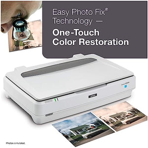 Epson Expression 13000XL Archival Photo and Graphics Flatbed Scanner