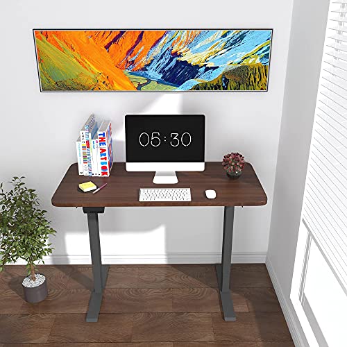 HOUSEELF Dual Motor Electric Standing Desk - 48 x 24 Inches Height Adjustable Computer Desk with Greater Motor Power, Stand Up Writing Table for Home, Office, Workstation, Walnut
