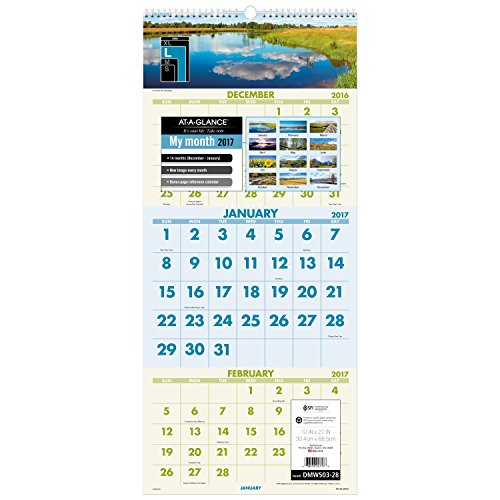 AT-A-GLANCE Wall Calendar 2017, 3 Month View, 12 x 27", Scenic (DMW503-28)