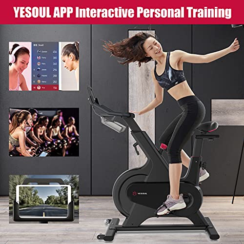 Spin Exercise Bikes, YESOUL Stationary Bikes with Coach Live Smart App Bluetooth Real-time Data Monitorin, Built-in Flywheel & Adjustable Magnetic Resistance Silent for M1 Indoor Cycling Bike (Black)