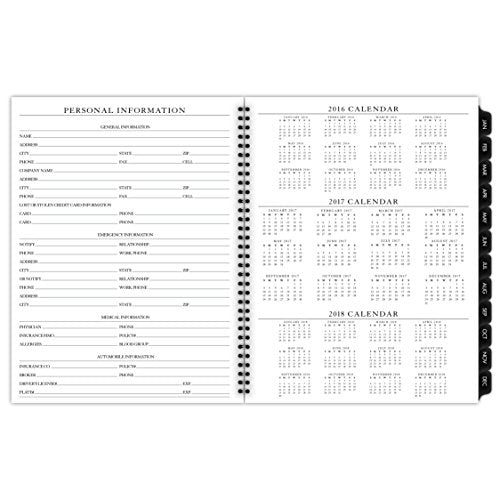 AT-A-GLANCE Weekly / Monthly Appointment Book Refill 2017, 70-LX8105, 70-NX81, 8-1/4 x 10-7/8  (70-911-10)