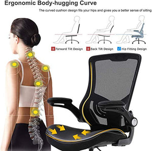 Home Office Chair Ergonomic Desk Chair Mesh Computer Chair Swivel Rolling Executive Task Chair with Lumbar, Chair with Rest Back Support (XL)