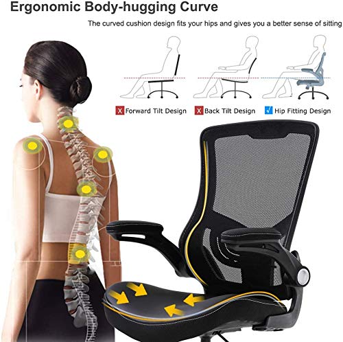 Home Office Chair Ergonomic Desk Chair Mesh Computer Chair Swivel Rolling Executive Task Chair with Lumbar, Chair with Rest Back Support (XL)