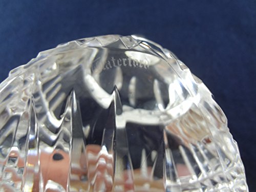 Waterford Crystal Conch Sea Shell Paperweight Hand Cooler Signed