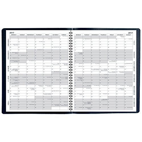 AT-A-GLANCE Monthly Planner / Appointment Book 2017, 15 Months, 9 x 11", Navy (7026020)