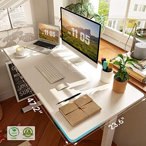 Flexispot Quick Install Standing Desk EC9 Electric Height Adjustable Desk for Home Office 48 x 24 Inches Whole-Piece Desk Board VICI(White Frame + 48" White Top)