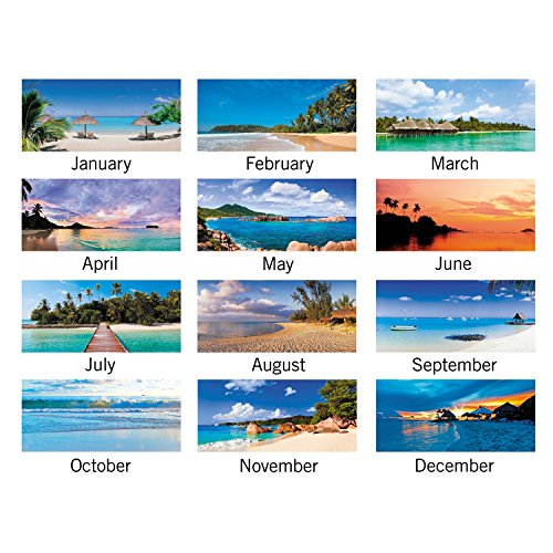 AT-A-GLANCE Desk Pad Calendar 2017, Monthly, 21-5/8 x 16-7/8", Images of the Sea Panoramic (DMD141-32)