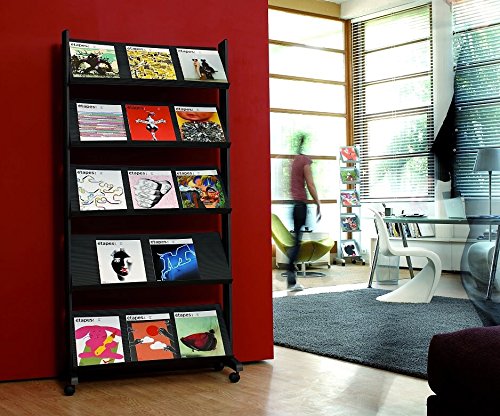 PaperFlow Single Sided Mobile Literature Display, 5 Shelves, 33.67x15.17x66 Inches, Black (255N.01)