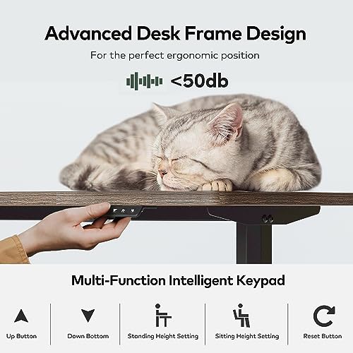 FEZIBO Electric Standing Desk, 63 x 24 Inches, Sit Stand Home Office Desk - Rusticbrown