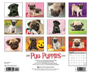 Just Pug Puppies 18-Month 2015 Calendar