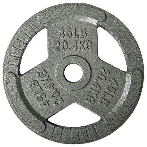HULKFIT 2-inch Iron Plate for Strength Training, Weightlifting and Crossfit (45 Pounds - Silver)