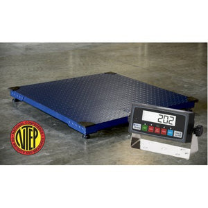 CS2010 2'x2' Legal for Trade Floor Scale w/Indicator Package
