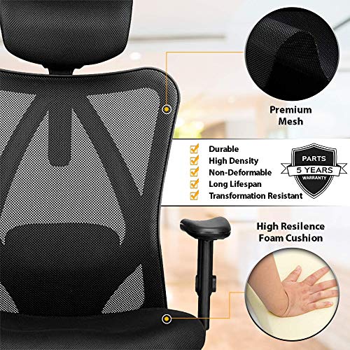 Duramont Ergonomic Adjustable Office Chair with Lumbar Support and Rollerblade Wheels - High Back with Breathable Mesh - Thick Seat Cushion - Adjustable Head & Arm Rests, Seat Height - Reclines
