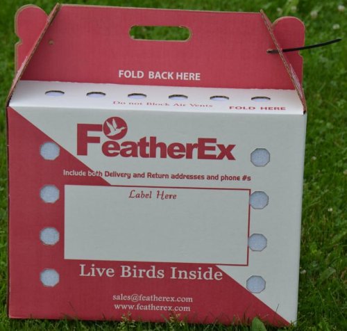FeatherEx 10 Pack Premier Shipping Boxes