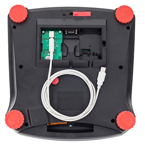 Ohaus R31P30 Ranger 3000 Compact Bench Scale, 30 kg (30031711)