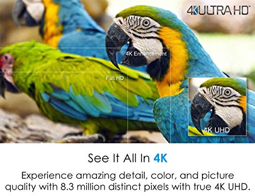 Optoma UHD51ALV Smart Home Theater 4K Projector (Alexa & Google Assistant) (Renewed)