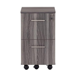Scranton & Co 2-Drawer Locking Rolling File Cabinet with Wheels, Grey
