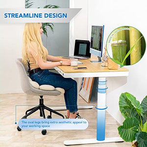 FLEXISPOT Electric Standing Desk with Wireless Charging & Drawer