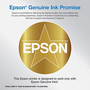 Epson Workforce Pro WF-4820 Wireless All-in-One Printer with Auto 2-Sided Printing, 35-Page ADF, 250-sheet Paper Tray and 4.3" Color Touchscreen, Compatible with Alexa, Black, Large