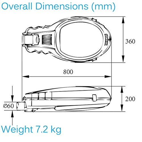 LDV Street Light Circular 80W Iduction Lamp Tube Pole head 4000k for outdoor