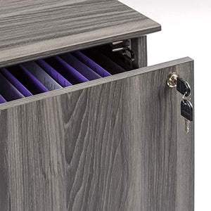 Safco Medina 2-Drawer Locking Lateral File Cabinet, Gray Steel Laminate