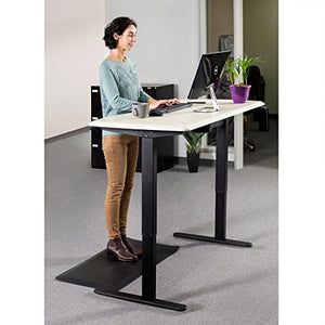 Loctek HAD2B Sit Stand Desk Frame Dual Motors Electric Height Adjustable Home Office Desk Base (Black)