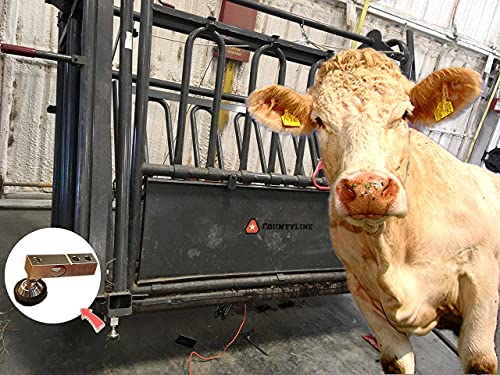 PEC Livestock Cattle Squeeze Chute Scale Kit for Pigs Goats Sheep 10,000LBS/0.1 NTEP Legal for Trade Scale