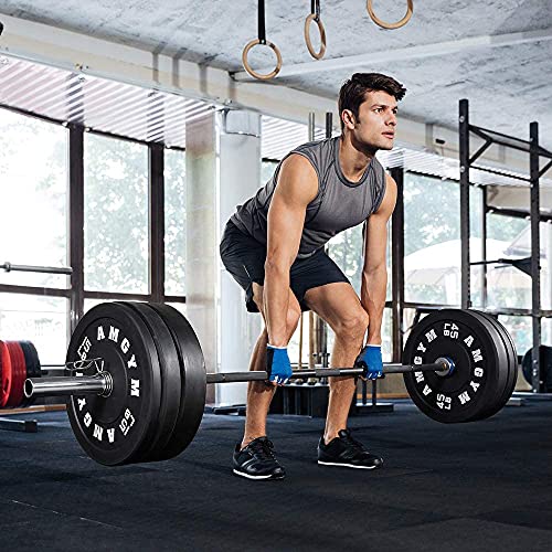 AMGYM LB Bumper Plates Olympic Weight Plates, Bumper Weight Plates, Steel Insert, Strength Training(260LB Set)
