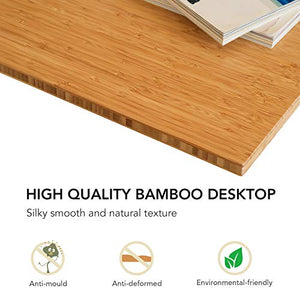 Flexispot Adjustable Desk, Electric Standing Desk Sit Stand Desk, 55 x 28 Inches Whole-Piece Bamboo Desk Top Home Office Table Stand up Desk (White Frame+Bamboo Top)