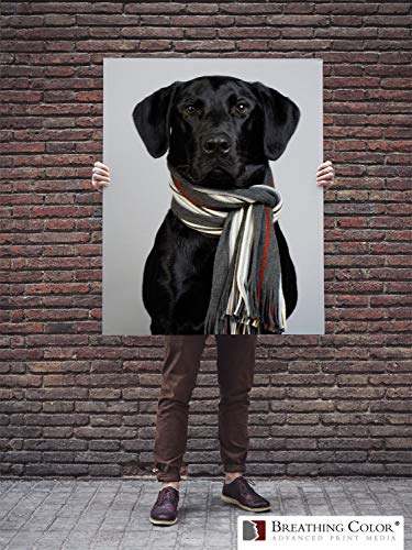 Premium Lyve Matte Canvas Paper Perfect for Use on Professional Makes and Models of Epson, Canon and HP Printers Preferred by Professionals. 19 mil Textured Canvas Offered in a 44 inch by 40 ft roll