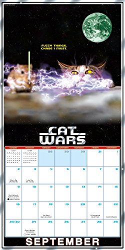 Cat Wars 2018 Wall Calendar (CA0115)