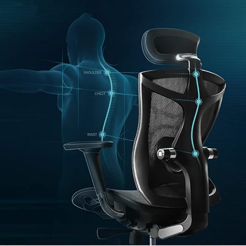 Lan Xin-JP Ergonomic Office Chair E-Sports Seat Multi-Function Adjustment