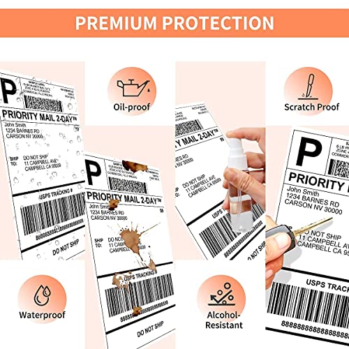 Phomemo Thermal Label Printer, with Label Holder and Pack of 250 4x6 Roll Labels, Pink Direct USB Thermal 4×6 Shipping Label Printer Maker, PM-246s Series