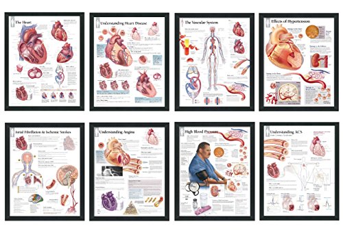 Set of 8 Framed Medical Posters The Heart; Heart Disease; Angina; Vascular; Atrial Fibrillation; Hypertension; High Blood Pressure; ACS 22"x28" Wall Diagrams Educational Doctors Office Charts