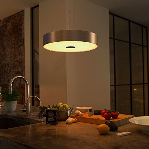 Philips Hue White Ambiance Dimmable LED Smart Suspension Light (Requires Hue Hub, Works with Alex, Apple HomeKit, and Google Assistant)