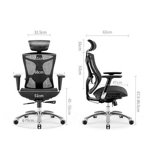 Lan Xin-JP Ergonomic Office Chair E-Sports Seat Multi-Function Adjustment
