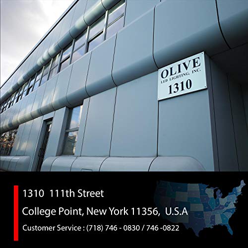 OLIVE LED Sign 3Color, RBP, P20, 15"x53" IR Programmable Scrolling Outdoor Message Display Signs EMC - Industrial Grade Business Ad Machine.