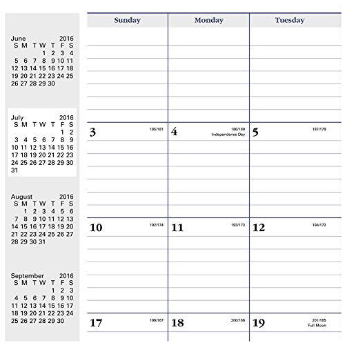 DayMinder Academic Year Monthly Planner, July 2016 - August 2017, 7-7/8"x11-7/8", Black (AY200)