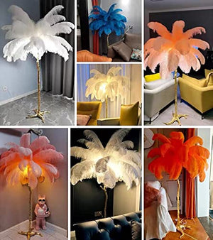 JYCCH Ostrich Feather Floor Lamp - Black 120cm, Orange 80cm