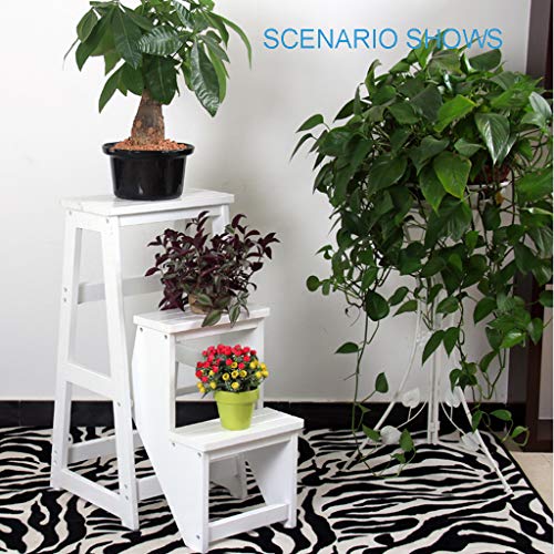LUCEAE Solid Wood Folding Step Stool Chair with 3 Steps - Home/Library, 150Kg Load