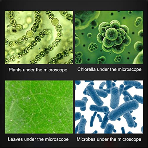 JIESEING 1200X Student Monocular Biological Microscope Set LED Home School Science Educational for Lab Optical Instruments