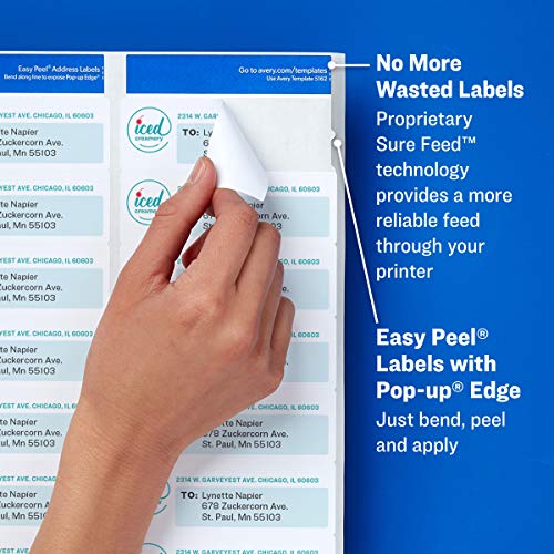 Avery Mailing Address Labels, Laser Printers, 5,000 Labels, 1 x 4, Permanent Adhesive, 2 Packs (5961)