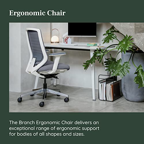 Branch Ergonomic Chair with Adjustable Lumbar Support, Breathable Mesh Backrest, Smooth Wheels - Graphite/White